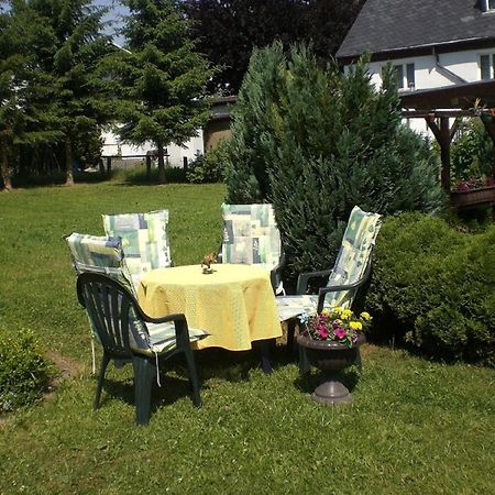 Ferienwohnung Im Erzgebirge In ゲレナウ エクステリア 写真