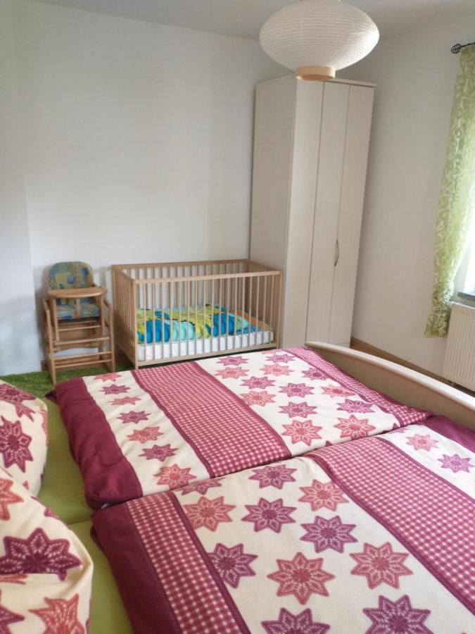 Ferienwohnung Im Erzgebirge In ゲレナウ エクステリア 写真