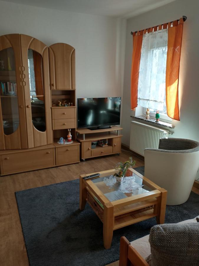 Ferienwohnung Im Erzgebirge In ゲレナウ エクステリア 写真