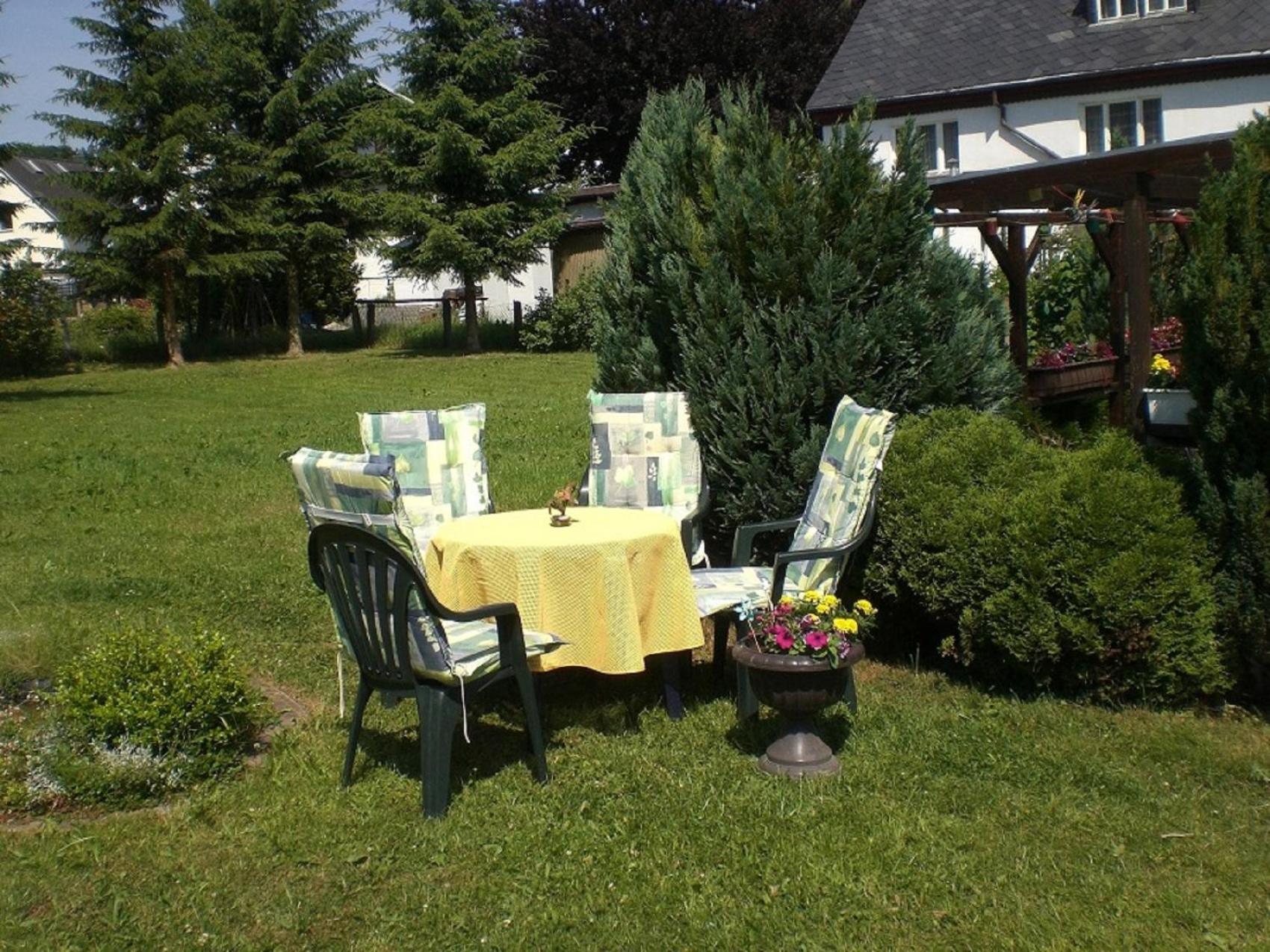 Ferienwohnung Im Erzgebirge In ゲレナウ エクステリア 写真